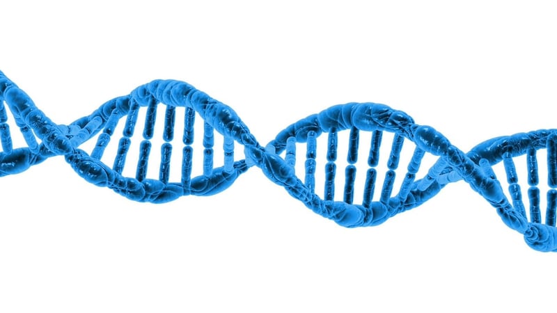 DNA structure