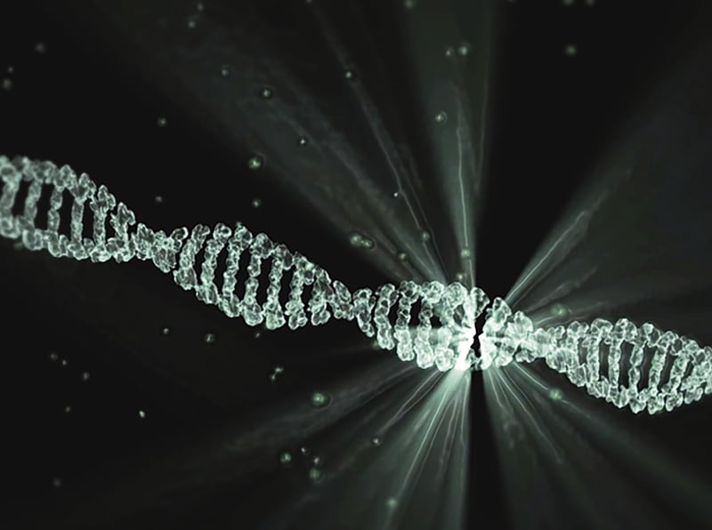 DNA Structure